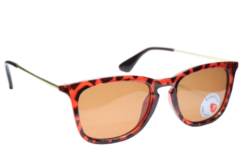 Brown Full Rim Rectangle Sunglasses