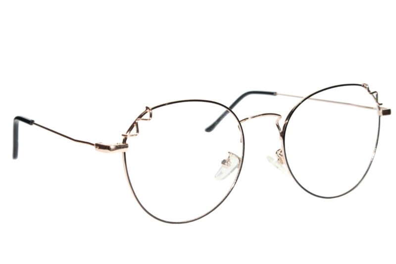 Gold Black Full Rim Round Eyeglasses