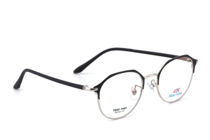 Silver Black Full Rim Oval Eyeglasses