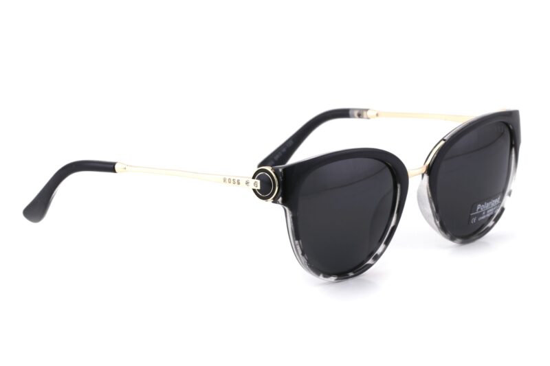 Black Transparent Full Rim Cat Eye Sunglasses